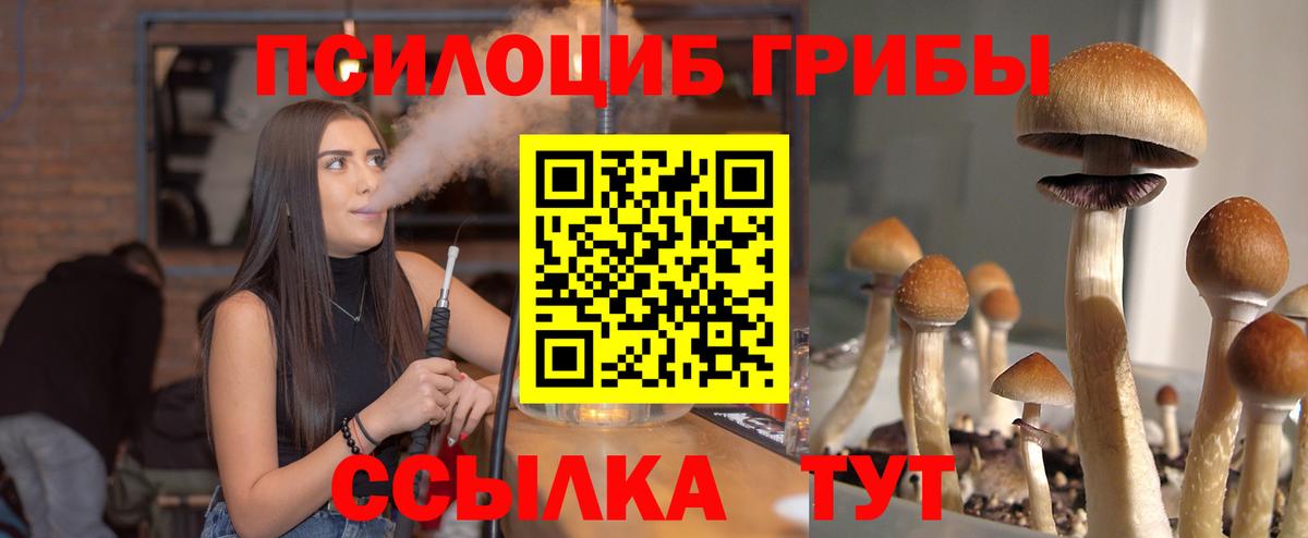 Псилоцибиновые грибы GOLDEN TEACHER Рузаевка